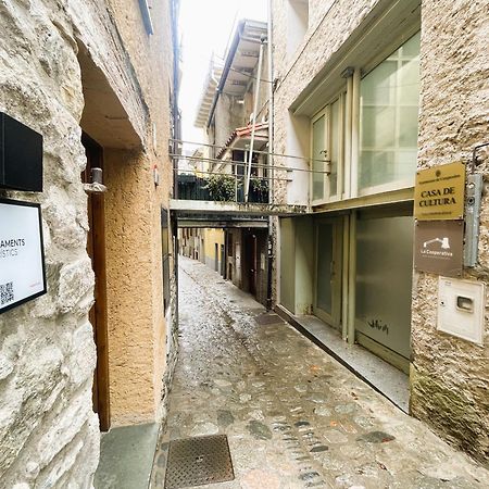Apartamento Duplex En El Corazon De Camprodon, La Rovira Kültér fotó